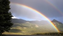 Regenboog