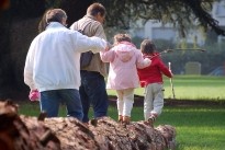 Balanceren op een boomstam
