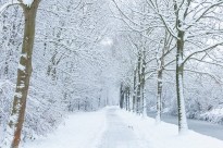 Sneeuwlandschap