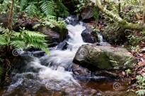 waterbron