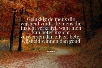Wijsheid